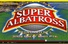 Thumbnail_small_albatross_marquee