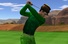Thumbnail_small_st_paddy_marquee